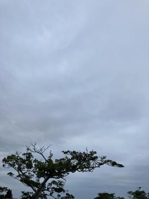 空