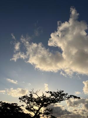 空