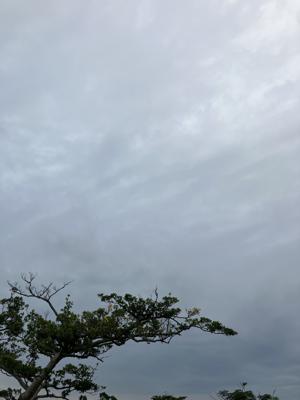 空