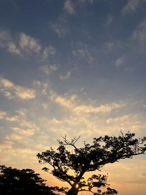 空