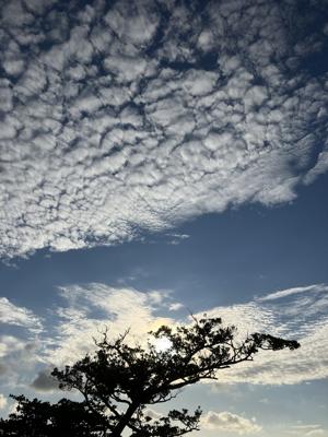 空