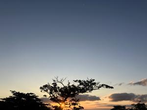 空