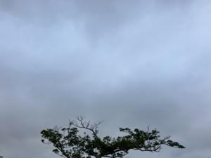 空