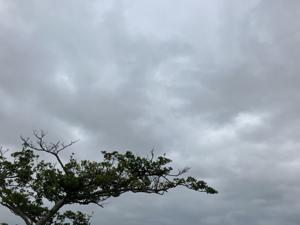 空