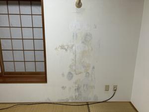 壁のカビ