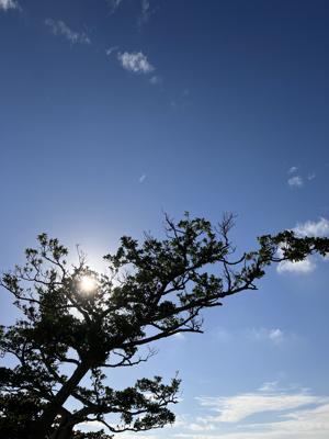 空