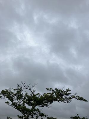 空