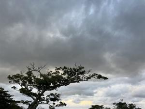 空