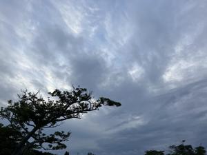 空