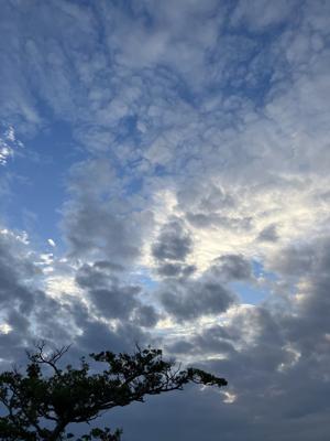 空