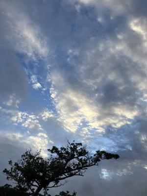 空