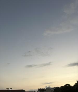 朝