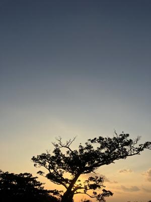 空