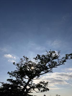 空