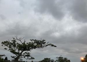 空