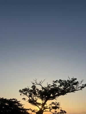空