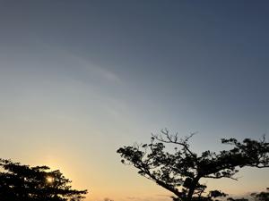 空