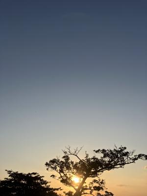空