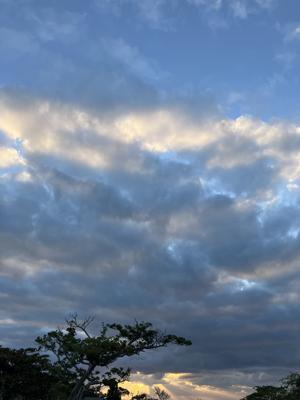 空