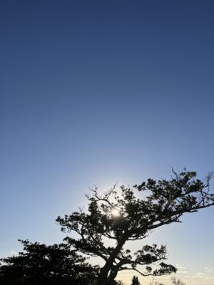 空