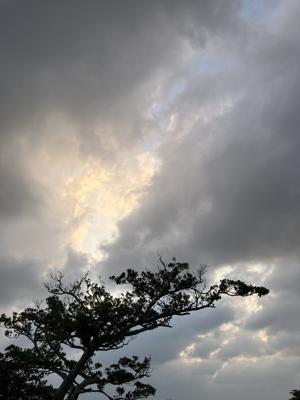 空