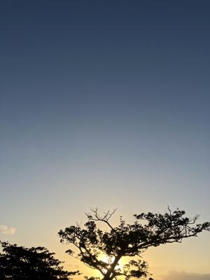 空