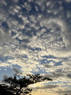 空