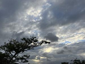 空