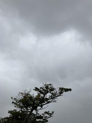 空