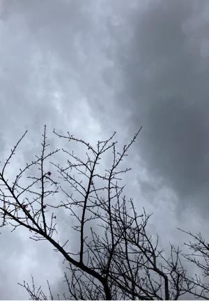 空