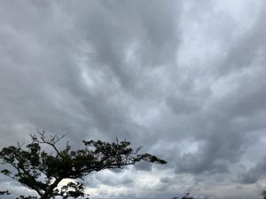 空