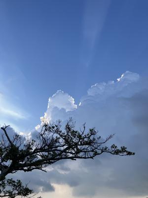 空