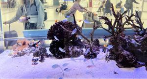 水族館