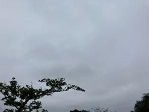 空