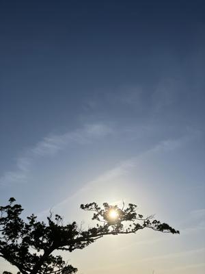 空