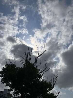 空