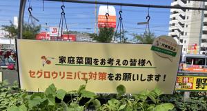 注意