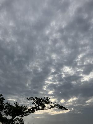 空