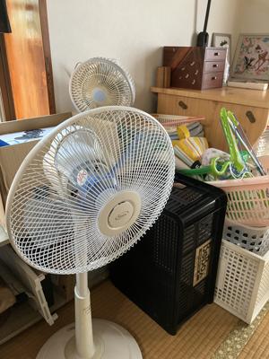 ペイントした