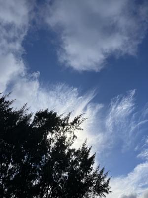 空