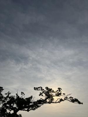 空