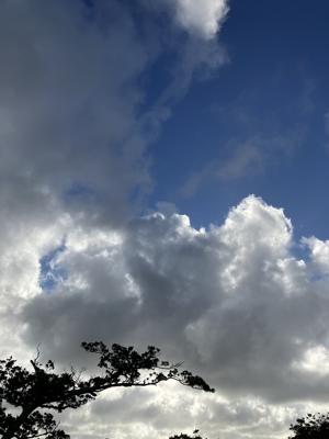 空