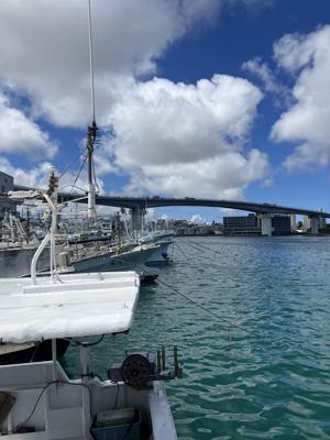泊魚市場の港