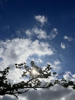 空