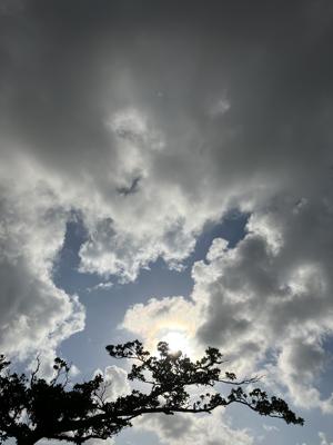 空