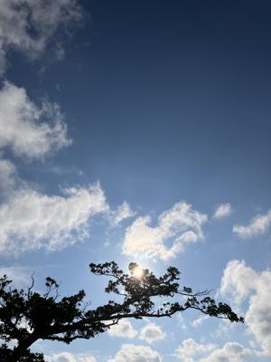 空