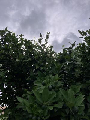 空