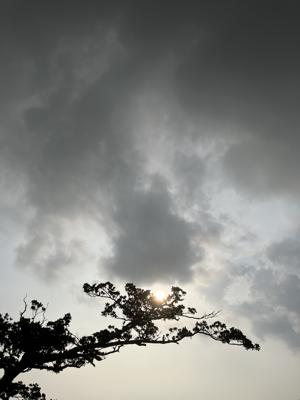 空