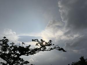 空