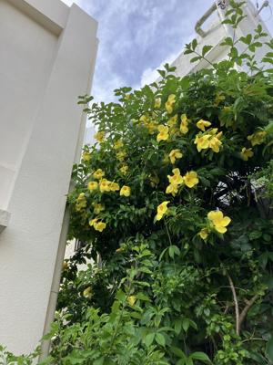 前